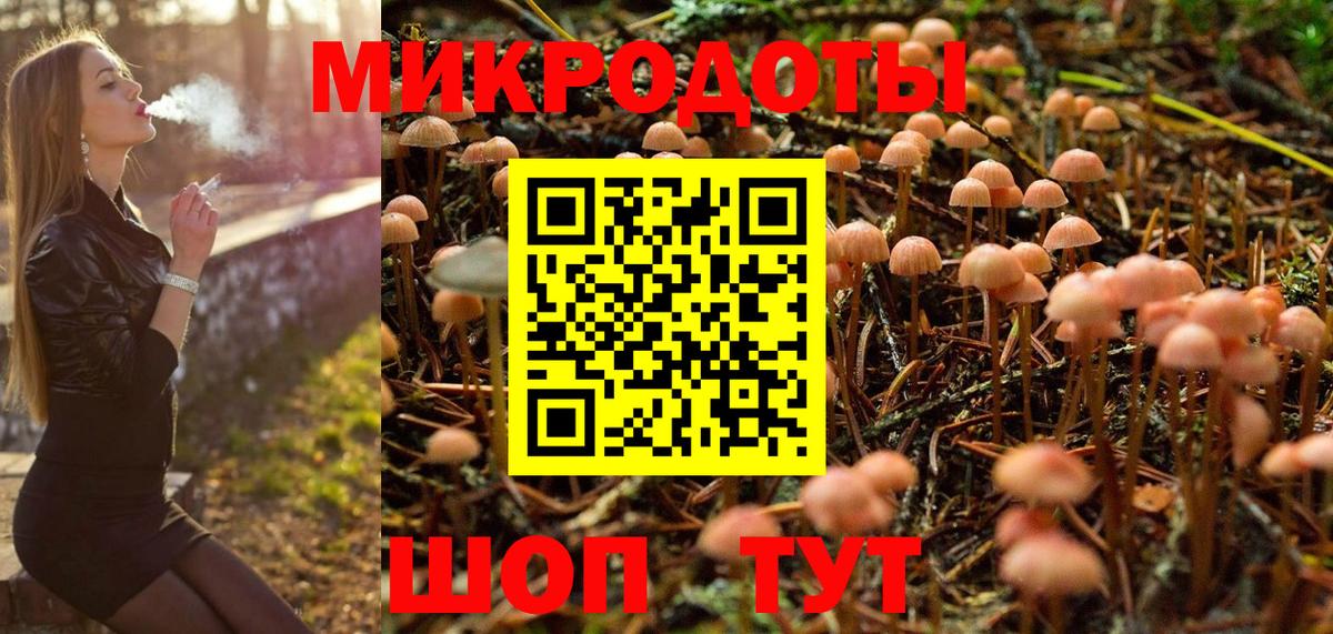 Галлюциногенные грибы мицелий Краснодар