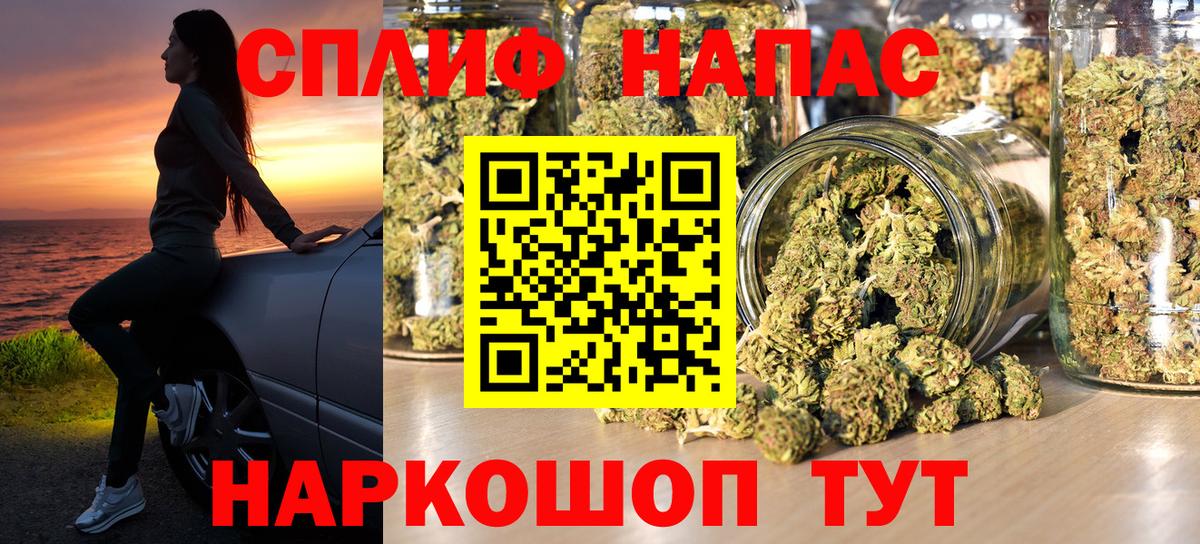 Каннабис конопля Краснодар